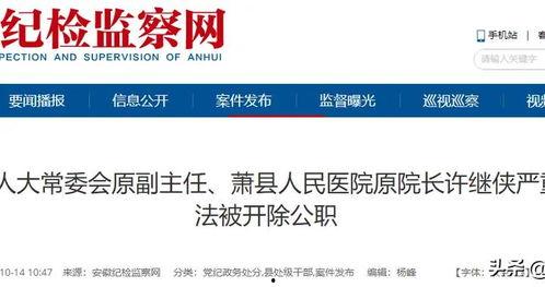 安徽萧县爆料新闻视频,视频揭露惊人真相，引网友热议